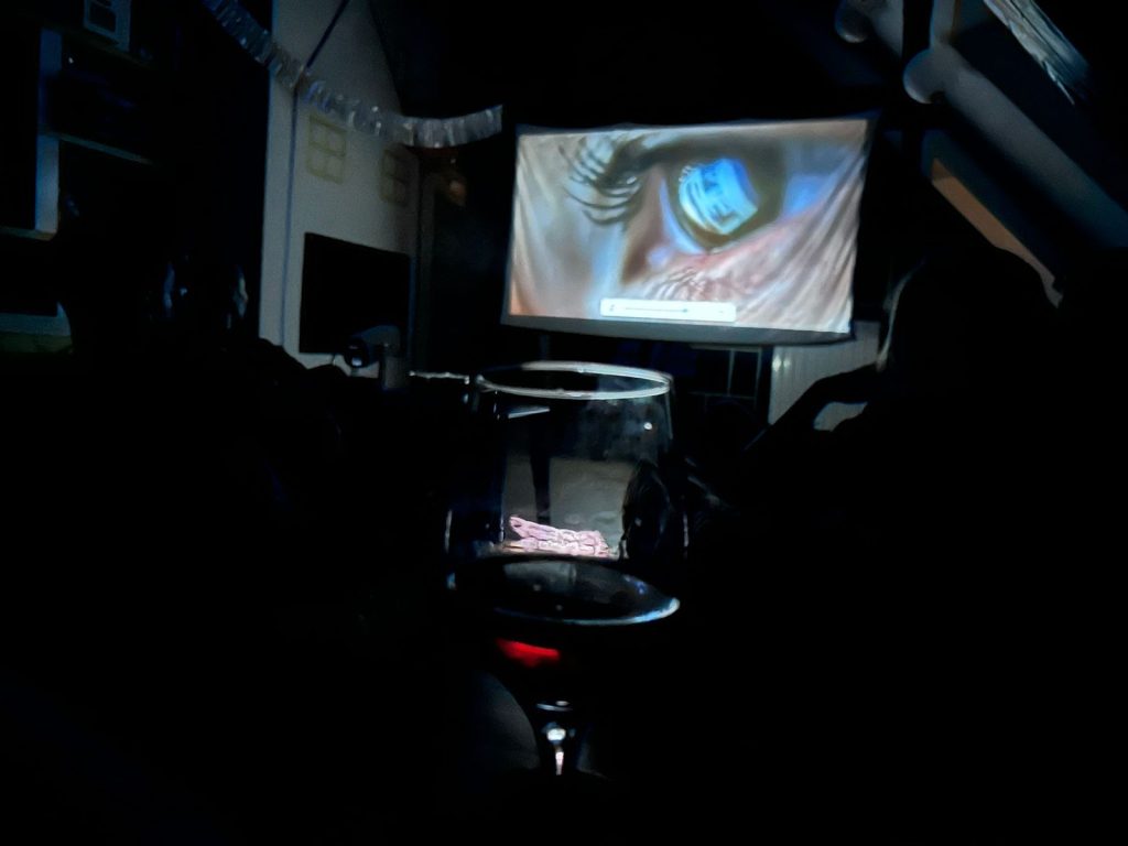 Seară de film la Kuib Art Studio